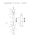 Intravascular Blood Filters and Methods of Use diagram and image