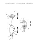 Intravascular Blood Filters and Methods of Use diagram and image