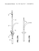 Intravascular Blood Filters and Methods of Use diagram and image