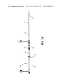 Intravascular Blood Filters and Methods of Use diagram and image