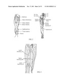 TREATMENT OF INDICATIONS USING ELECTRICAL STIMULATION diagram and image