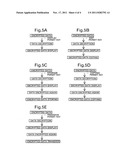 CONTROLLING DATABASE COPYRIGHTS diagram and image