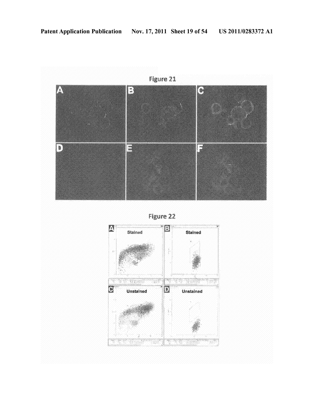 COMPOSITIONS USEFUL FOR CANCER DETECTION AND TREATMENT, A CANCER STEM CELL     MODEL, AND METHODS OF PRODUCTION AND USE THEREOF - diagram, schematic, and image 20