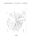 PLANTS HAVING ENHANCED YIELD-RELATED TRAITS AND A METHOD FOR MAKING THE     SAME diagram and image