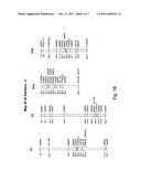 SOYBEAN PLANTS HAVING SUPERIOR AGRONOMIC PERFORMANCE AND METHODS FOR THEIR     PRODUCTION diagram and image