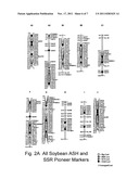 SOYBEAN PLANTS HAVING SUPERIOR AGRONOMIC PERFORMANCE AND METHODS FOR THEIR     PRODUCTION diagram and image