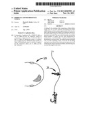 FISHING FLY  AND METHOD OF FLY FISHING diagram and image
