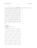 BIOLOGICAL GLUE AND METHOD FOR OBTAINING A BIOLOGICAL GLUE diagram and image