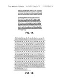 PHARMACEUTICAL POLYPEPTIDE DRY POWDER AEROSOL FORMULATION AND METHOD OF     PREPARATION diagram and image