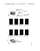 USE OF FINGERPRINT SCANNING SENSOR DATA TO DETECT FINGER ROLL AND PITCH     ANGLES diagram and image