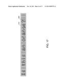 DISPLAY CONTROL METHOD, DISPLAY CONTROL DEVICE AND PROGRAM diagram and image