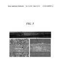 SURFACE PLASMON RESONANCE SENSOR USING METALLIC GRAPHENE, REPARING METHOD     OF THE SAME, AND SURFACE PLASMON RESONANCE SENSOR SYSTEM diagram and image