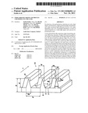 Wire-grid polarizer and process for producing the same diagram and image