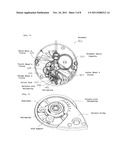 MAGNETICALLY INSENSITIVE, HIGHLY HARD AND CONSTANT-MODULUS ALLOY, AND ITS     PRODUCTION METHOD, AS WELL AS HAIR SPRING, MECHANICAL DRIVING APPARATUS     AND WATCH AND CLOCK diagram and image