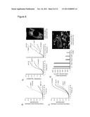 USE OF HSP70 AS A REGULATOR OF ENZYMATIC ACTIVITY diagram and image