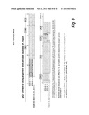 ANTIBODIES AGAINST EPIDERMAL GROWTH FACTOR RECEPTOR (EGFR) AND USES     THEREOF diagram and image