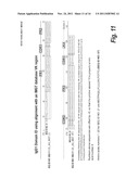 ANTIBODIES AGAINST EPIDERMAL GROWTH FACTOR RECEPTOR (EGFR) AND USES     THEREOF diagram and image