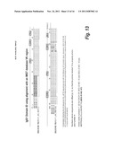 ANTIBODIES AGAINST EPIDERMAL GROWTH FACTOR RECEPTOR (EGFR) AND USES     THEREOF diagram and image