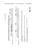 ANTIBODIES AGAINST EPIDERMAL GROWTH FACTOR RECEPTOR (EGFR) AND USES     THEREOF diagram and image