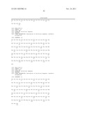 ANTIBODIES AGAINST EPIDERMAL GROWTH FACTOR RECEPTOR (EGFR) AND USES     THEREOF diagram and image