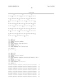 NUCLEIC ACID ENCODING CYTOKINE RECEPTOR ZCYTOR17 diagram and image