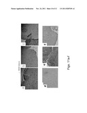 COMPOSITIONS AND METHODS FOR DIAGNOSING AND TREATING AN INFLAMMATION diagram and image