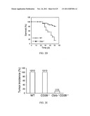 AGENTS AND METHODS TO ELICIT ANTI-TUMOR IMMUNE RESPONSE diagram and image