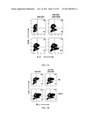 AGENTS AND METHODS TO ELICIT ANTI-TUMOR IMMUNE RESPONSE diagram and image