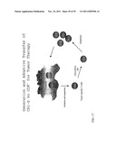 AGENTS AND METHODS TO ELICIT ANTI-TUMOR IMMUNE RESPONSE diagram and image