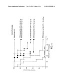 Universal GM-CSF Expressing Bystander Human Cell Line diagram and image