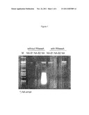 USE OF A SACCHAROMYCES CEREVISIAE MITOCHONDRIAL NUCLEIC ACIDS FRACTION FOR     IMMUNE STIMULATION diagram and image