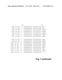 CREATION OF DIVERSITY IN POLYPEPTIDES diagram and image