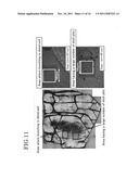 Group 3B nitride crystal diagram and image