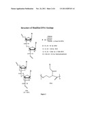 IN-SITU HYBRIDIZATION TO DETECT RNA AND DNA MARKERS diagram and image