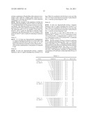 Probes for Detection of NAT2 Gene, Reagent Containing the Same, and The     Uses Thereof diagram and image