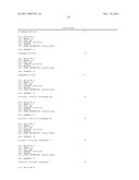 Probes for Detection of NAT2 Gene, Reagent Containing the Same, and The     Uses Thereof diagram and image