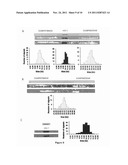 DIAGNOSIS OF VIRAL INFECTIONS BY DETECTION OF GENOMIC AND INFECTIOUS VIRAL     DNA BY MOLECULAR COMBING diagram and image