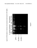 Detection Of Analytes And Nucleic Acids diagram and image