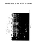 Detection Of Analytes And Nucleic Acids diagram and image