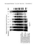 Detection Of Analytes And Nucleic Acids diagram and image