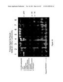 Detection Of Analytes And Nucleic Acids diagram and image