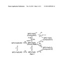 MYELOPEROXIDASE, A RISK INDICATOR FOR CARDIOVASCULAR DISEASE diagram and image