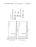 RECOMBINANT BETA-GALACTOSIDASE DERIVED FROM STREPTOCOCCUS PNEUMONIAE diagram and image