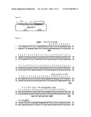 EXPRESSION VECTOR CONTAINING THE MAJOR ENVELOPE PROTEIN P9 OF CYSTOVIRUS     PHI6 AS A FUSION PARTNER, AND PROCESS FOR PRODUCING A MEMBRANE PROTEIN     USING THE SAME diagram and image