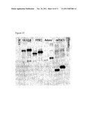 EXPRESSION VECTOR CONTAINING THE MAJOR ENVELOPE PROTEIN P9 OF CYSTOVIRUS     PHI6 AS A FUSION PARTNER, AND PROCESS FOR PRODUCING A MEMBRANE PROTEIN     USING THE SAME diagram and image