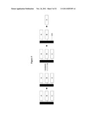 HYDROLASES, NUCLEIC ACIDS ENCODING THEM AND METHODS TO PRODUCE     TRIGLYCERIDES diagram and image