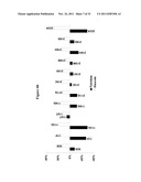 HYDROLASES, NUCLEIC ACIDS ENCODING THEM AND METHODS FOR BIOCATALYTIC     SYNTHESIS OF STRUCTURED LIPIDS diagram and image