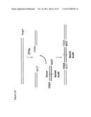 Targeted genomic modification with partially single-stranded donor     molecules diagram and image