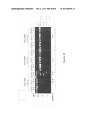 Targeted genomic modification with partially single-stranded donor     molecules diagram and image