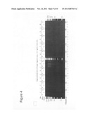 Targeted genomic modification with partially single-stranded donor     molecules diagram and image